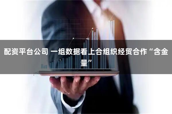 配资平台公司 一组数据看上合组织经贸合作“含金量”